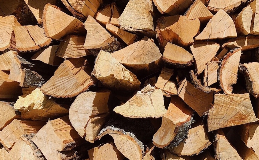 У Верхньодніпровську викрили 26-річну шахрайку, яка продавала неіснуючі дрова